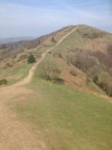 20879_10155552455065647_5070662296253109886_n